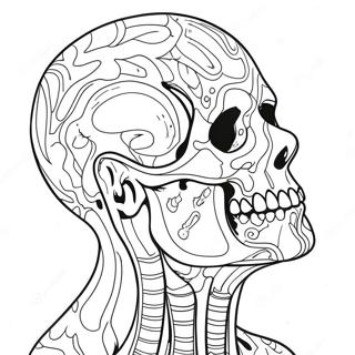 Pain Coloring Page 40873-32647