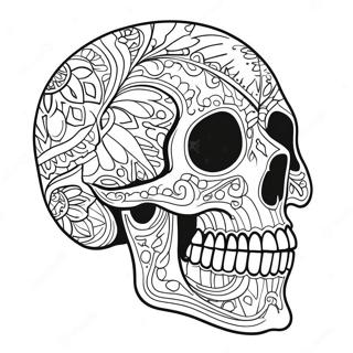 Realistic Human Skull Coloring Page 40904-32673