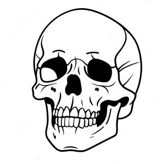 Realistic Human Skull Coloring Page 40904-32674