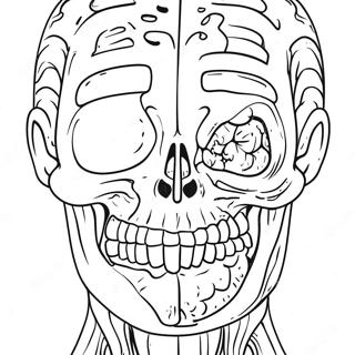 Human Anatomy Coloring Page 40953-32707