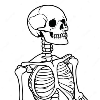 Detailed Human Skeleton Coloring Page 40954-32711