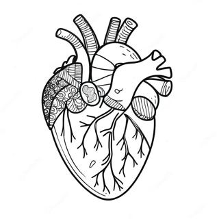 Colorful Human Heart Anatomy Coloring Page 41834-33412