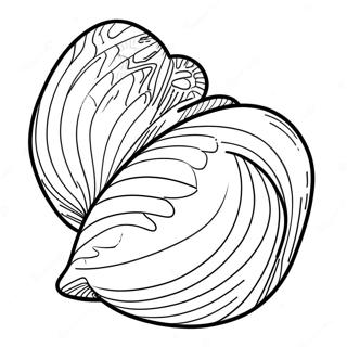 Clam Shell Coloring Page 42343-33810