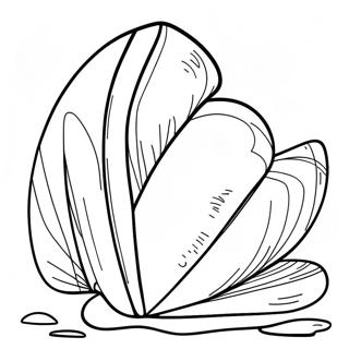 Clam Shell Coloring Page 42343-33812