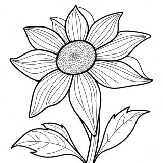 Nebraska State Flower Coloring Page 42933-34286