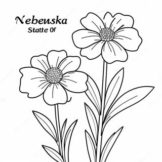 Beautiful Nebraska State Flower Coloring Page 42934-34296