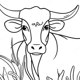 Texas Longhorn Coloring Page 42943-34289