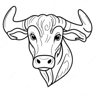 Texas Longhorn Coloring Page 42943-34292