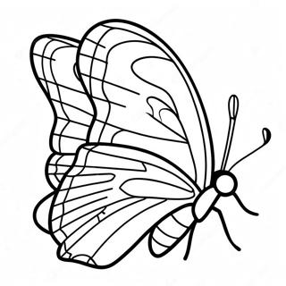 Leafwing Coloring Pages