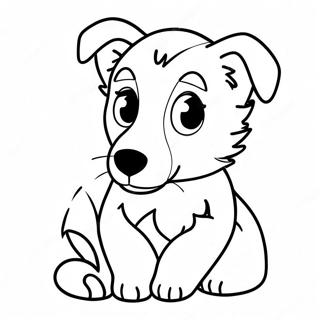 Border Collie Coloring Pages