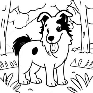 Playful Border Collie In The Park Coloring Page 43344-34614