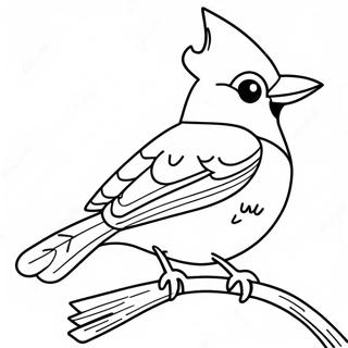 Blue Jay Coloring Page 44253-35330