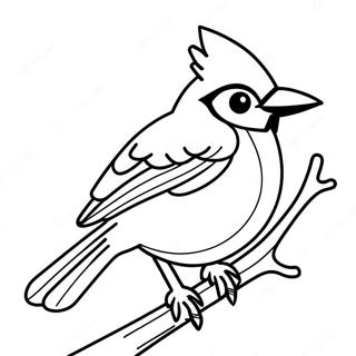 Blue Jay Coloring Page 44253-35331