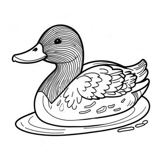 Mallard Duck Coloring Page 44623-35626