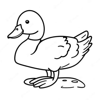 Mallard Duck Coloring Page 44623-35627