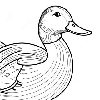 Mallard Duck Coloring Page 44623-35628