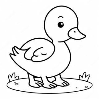 Cute Mallard Duckling Coloring Page 44624-35629