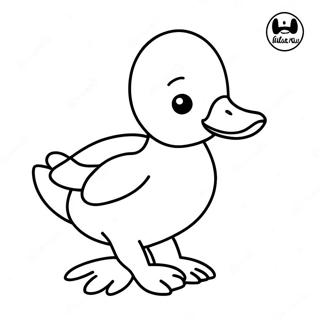 Cute Mallard Duckling Coloring Page 44624-35631