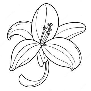 Colorful Easter Lily Coloring Page 45064-35981