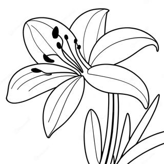 Colorful Easter Lily Coloring Page 45064-35984