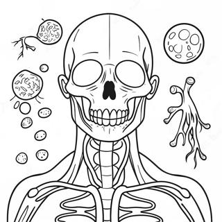 Immune System Coloring Page 45813-36577