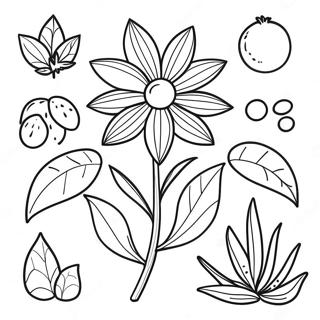 Parts Of A Plant Coloring Pages