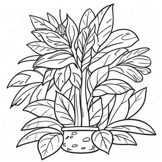 Parts Of A Plant Coloring Page 46033-36755