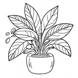 Parts Of A Plant Coloring Page 46033-36756