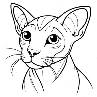 Sphynx Cat Coloring Pages