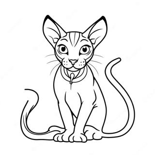 Sphynx Cat Coloring Page 46943-37487