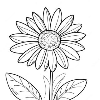 Daisy Flower Coloring Page 471-366