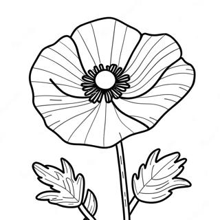 Poppy Flower Coloring Page 47603-38002