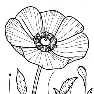 Poppy Flower Coloring Page 47603-38004