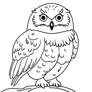 Snowy Owl Coloring Pages