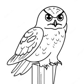 Majestic Snowy Owl In Flight Coloring Page 48104-38400