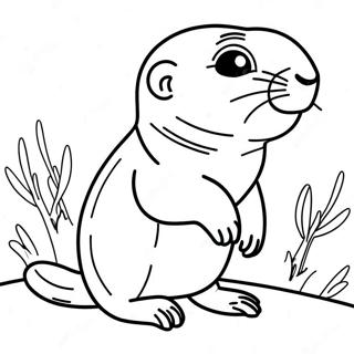 Prairie Dog Coloring Pages