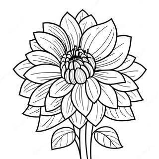 Dahlia Flower Coloring Page 49143-39226