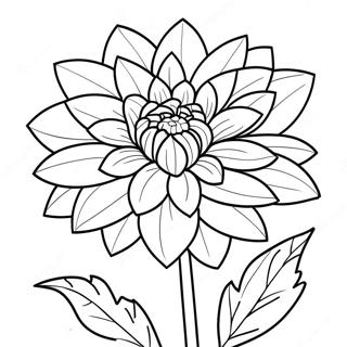 Beautiful Dahlia In Bloom Coloring Page 49144-39232