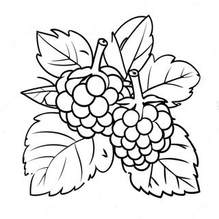 Raspberry Coloring Page 49463-39481