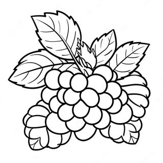 Raspberry Coloring Page 49463-39482