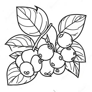 Raspberry Coloring Page 49463-39483