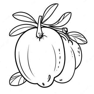 Mango Fruit Coloring Page 49513-39522