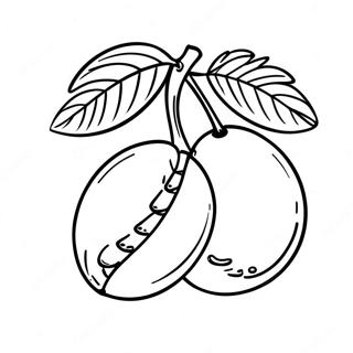 Mango Fruit Coloring Page 49513-39523