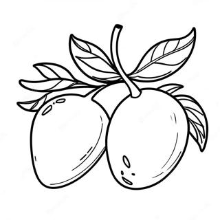 Mango Fruit Coloring Page 49513-39524