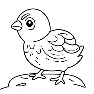 Cute Baby Quail Coloring Page 49614-39603