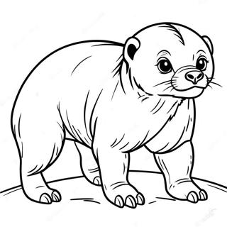 Honey Badger Coloring Page 50333-40174