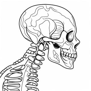 Skeletal System Coloring Pages