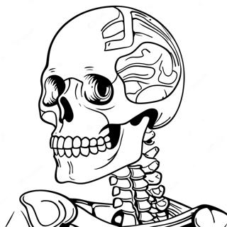 Skeletal System Coloring Page 50343-40183