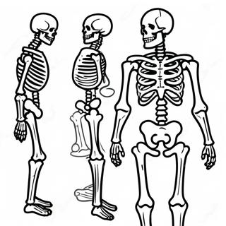 Detailed Human Skeleton Coloring Page 50344-40188