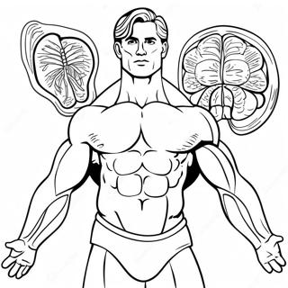 Muscle Coloring Pages